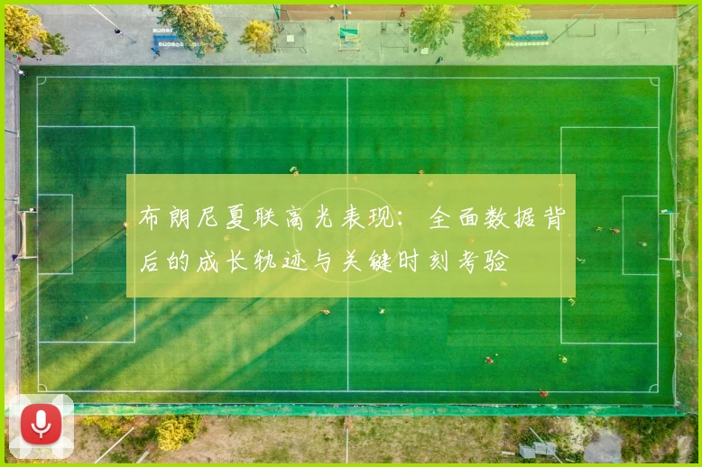 布朗尼夏联高光表现:全面数据背后的成长轨迹与关键时刻考验